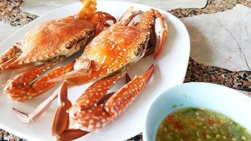 10 Best Places for Crab in North Carolina!