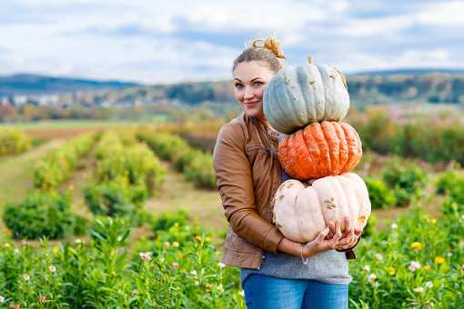 The 6 Best Pumpkin Patches in North Carolina!